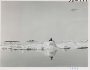Image of Miriam sitting on iceberg